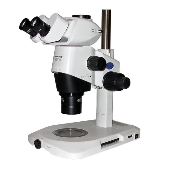 Olympus Fluorescent Binocular Microscope